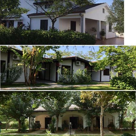 Ricciardulli Rooms Policoro Εξωτερικό φωτογραφία