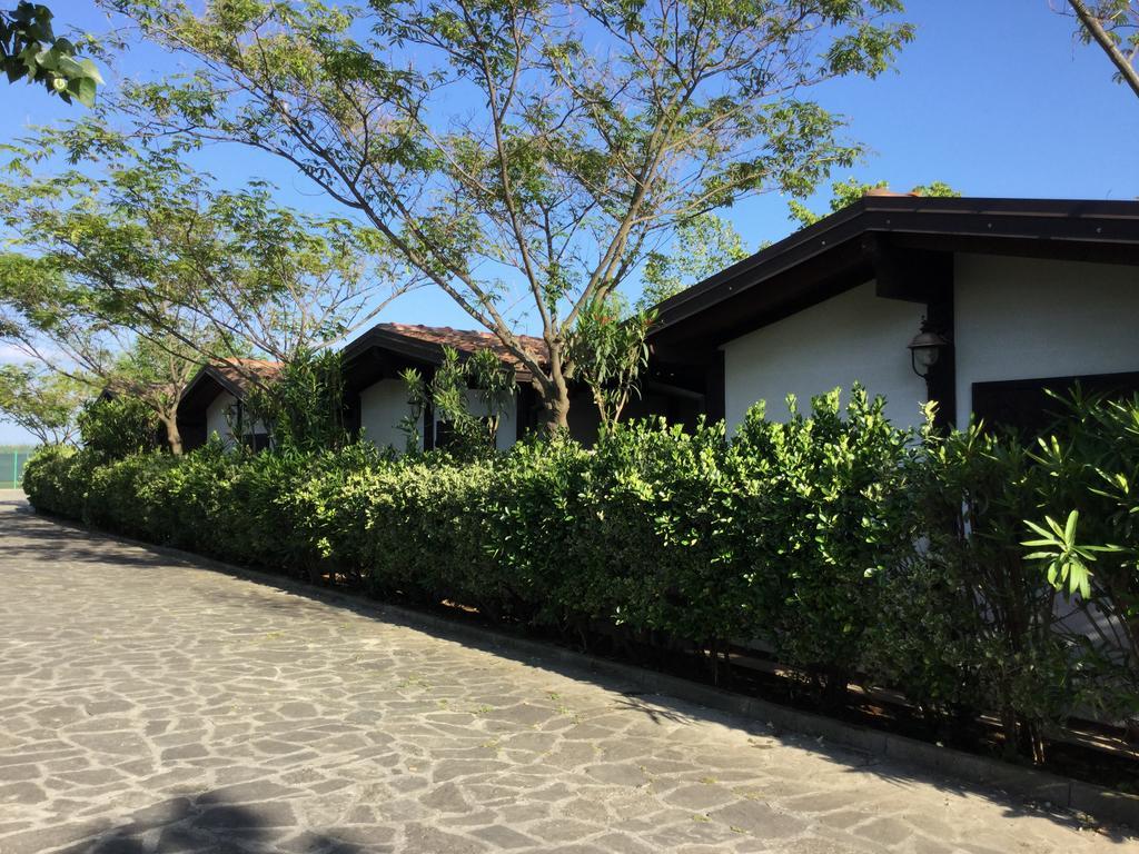 Ricciardulli Rooms Policoro Εξωτερικό φωτογραφία