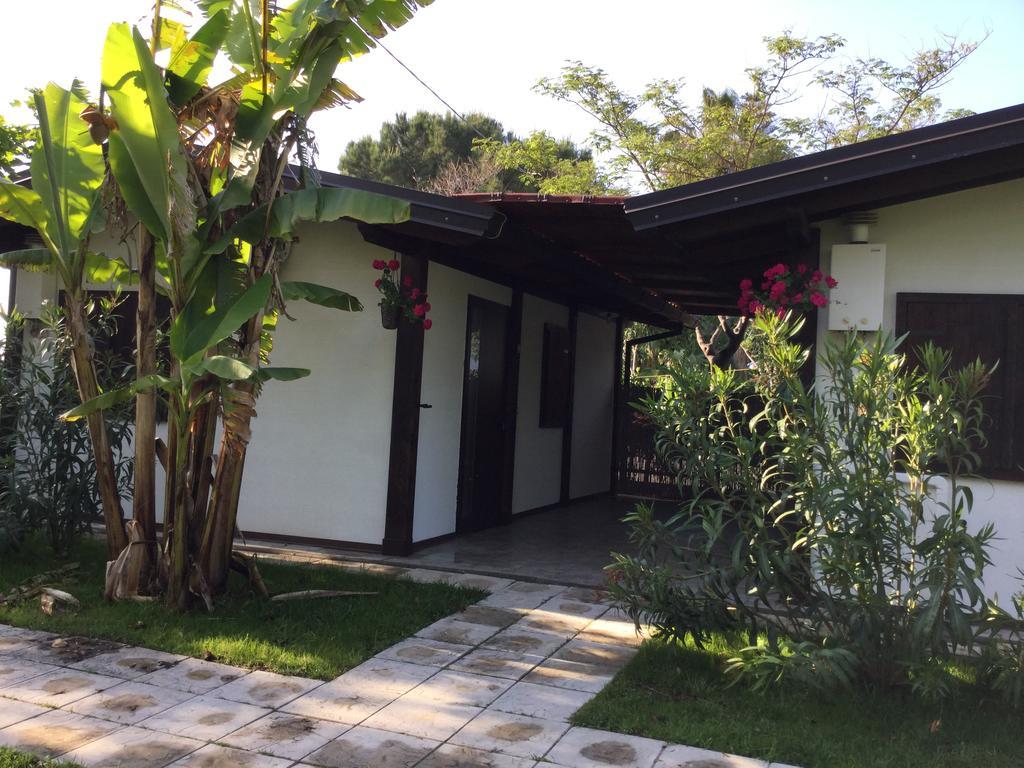 Ricciardulli Rooms Policoro Εξωτερικό φωτογραφία