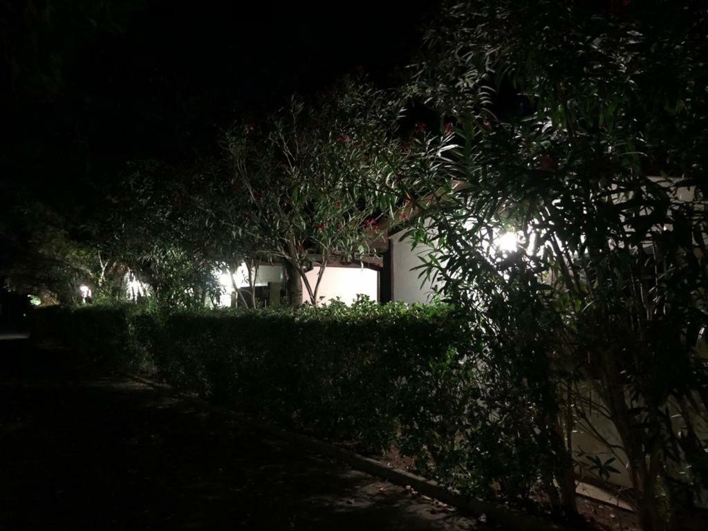 Ricciardulli Rooms Policoro Εξωτερικό φωτογραφία